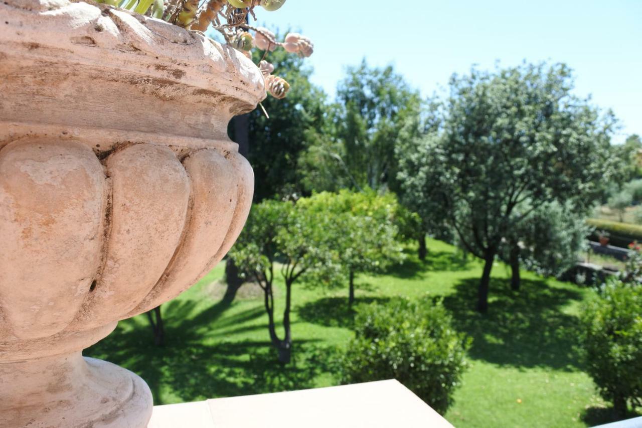Agriturismo dell'Etna Riposto Esterno foto